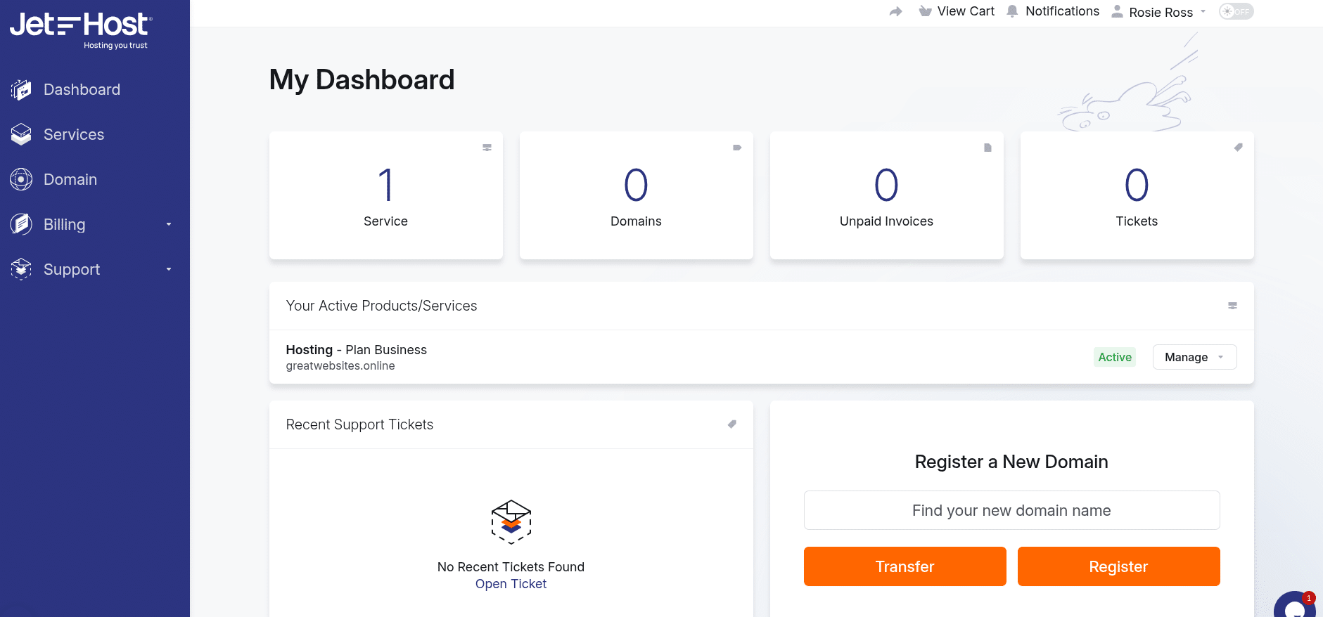 Dashboard in Client Area at JetHost