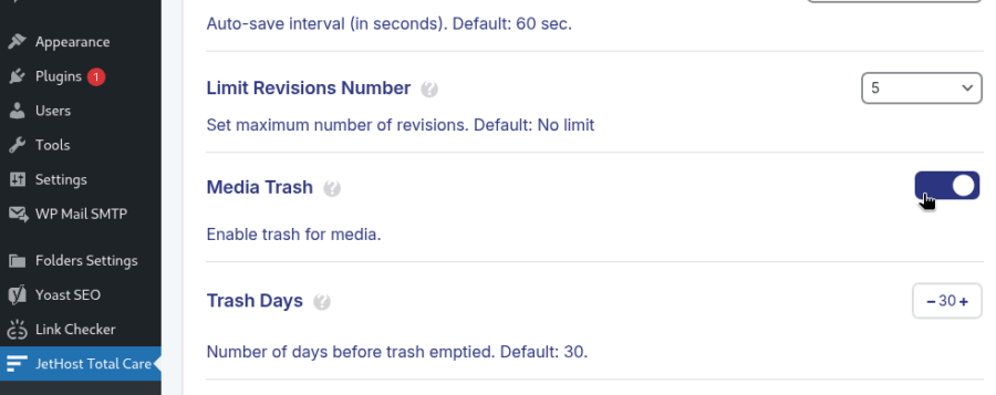 JetHost Total Care WordPress Trash Days settings
