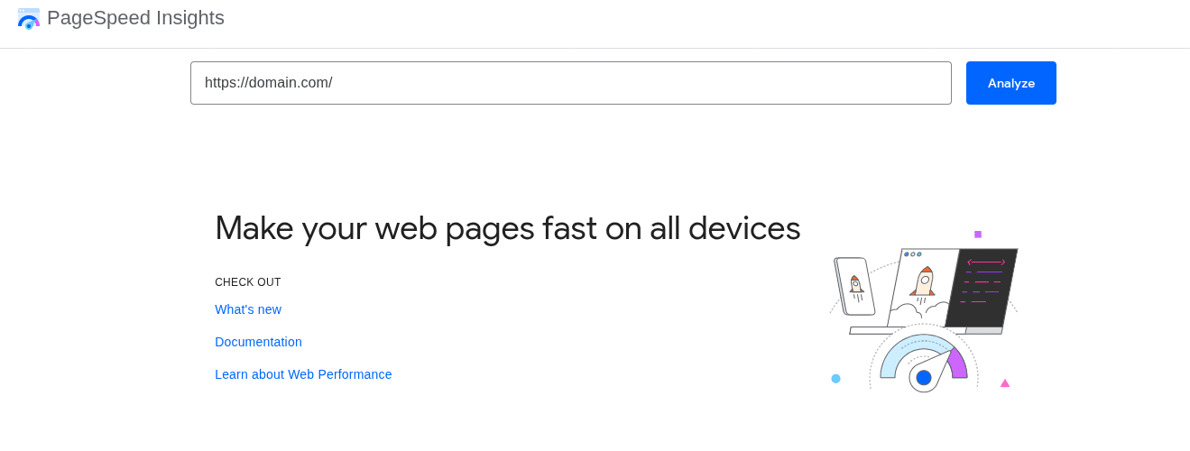 PageSpeed Insights