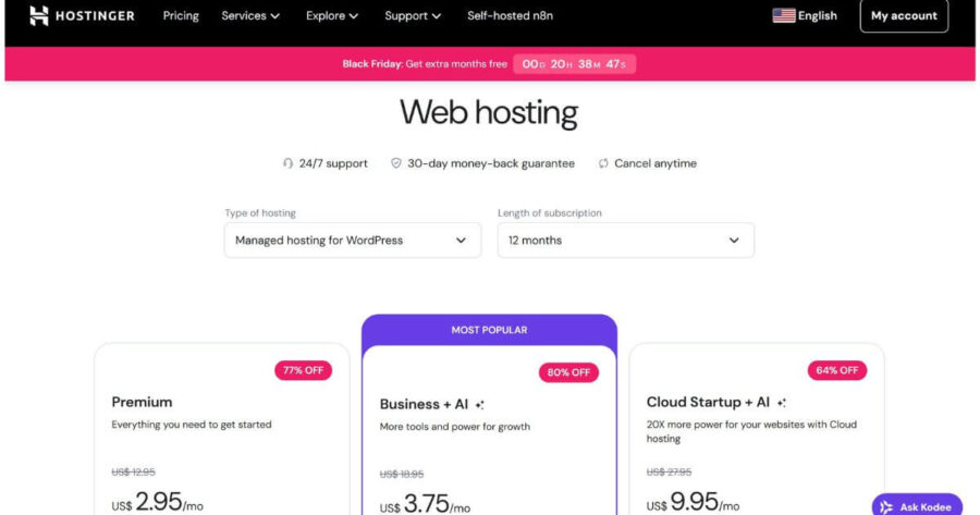 Hostinger WP hosting