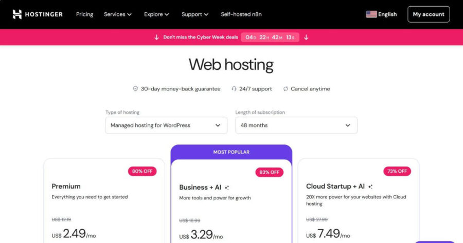 Hostinger WP hosting