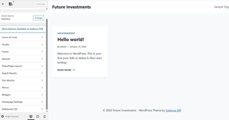 WP customize options