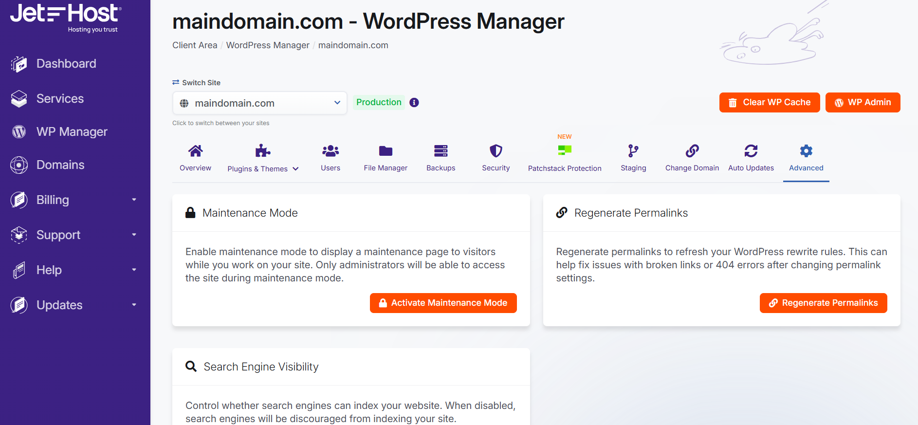 JetHost WordPress Manager advanced settings