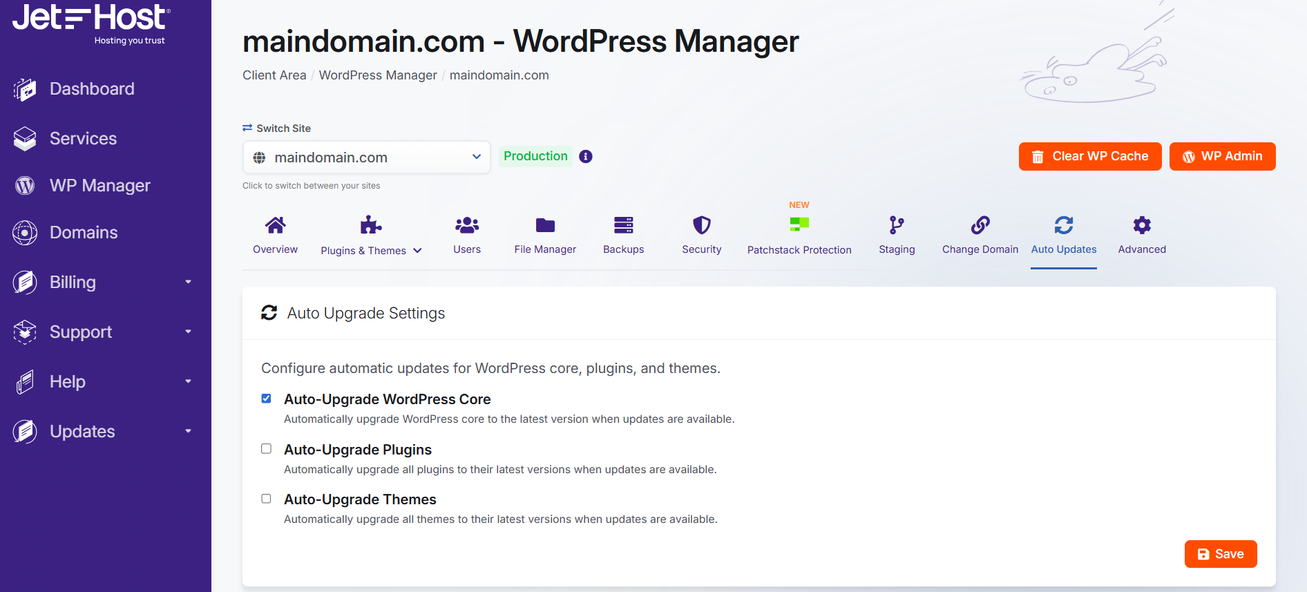 JetHost WordPress Manager auto update settings