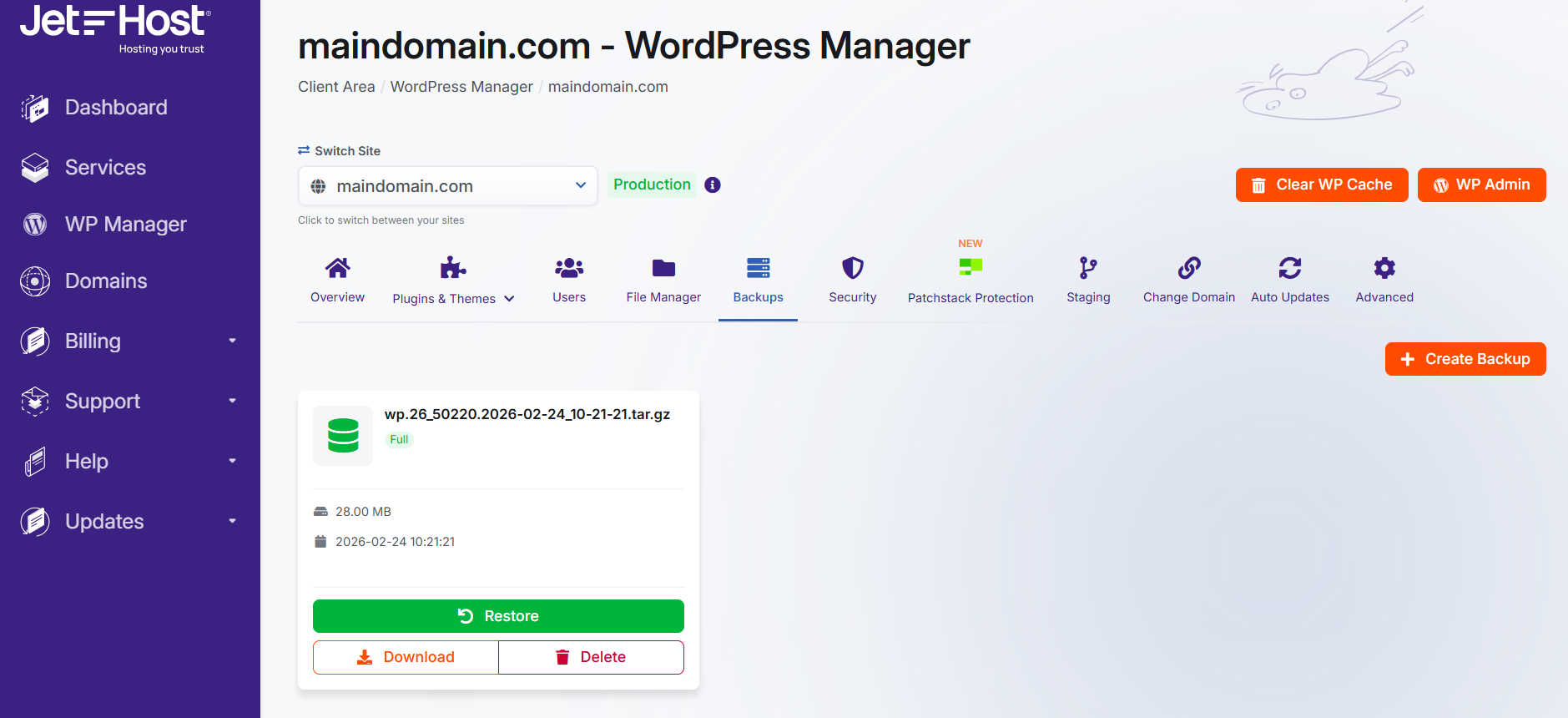 Backups in JetHost WordPress Manager
