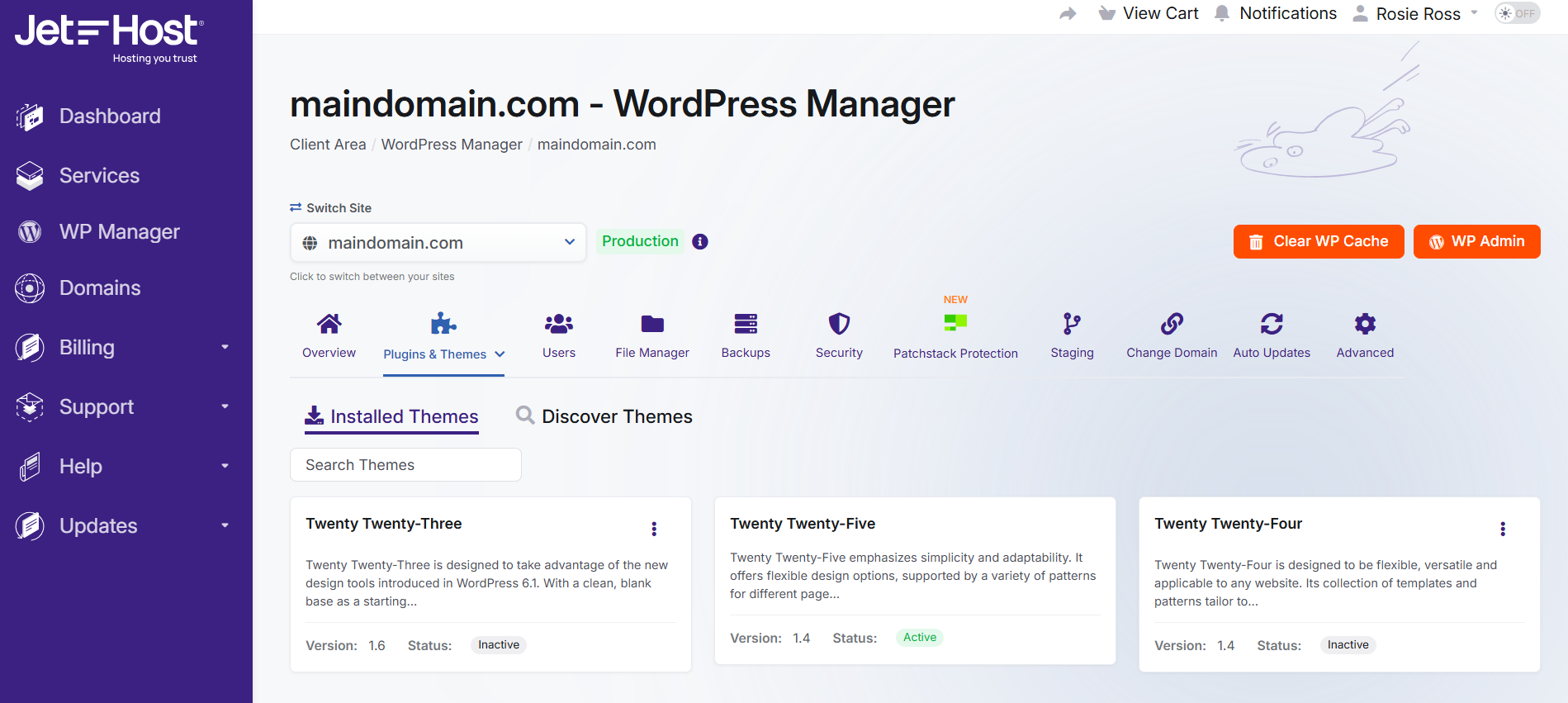 JetHost WordPress Manager Themes