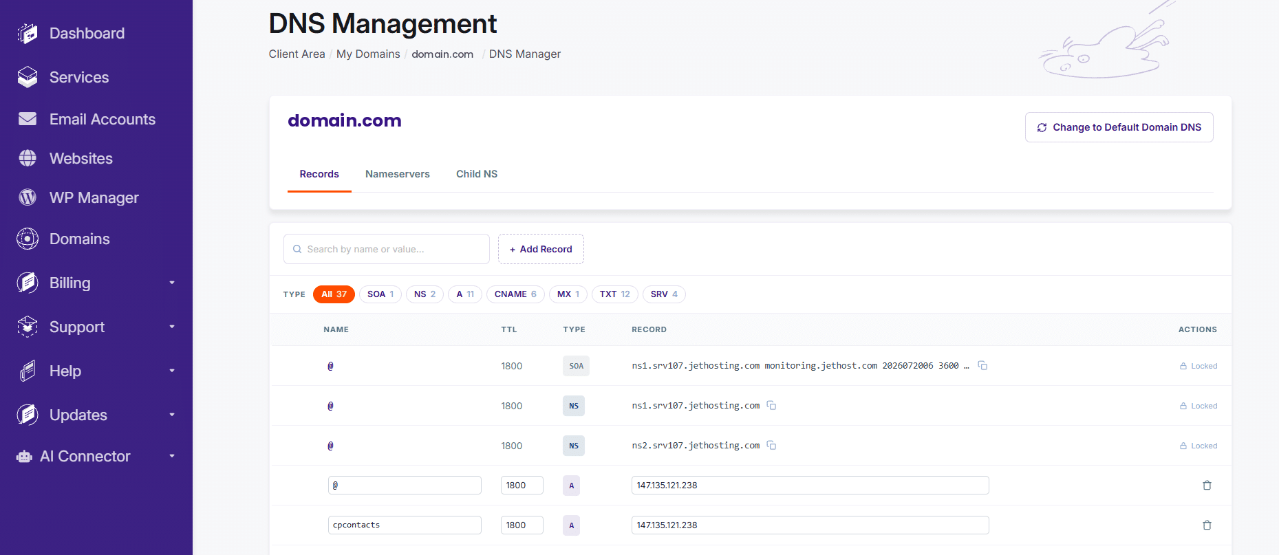 How to manage DNS records at JetHost