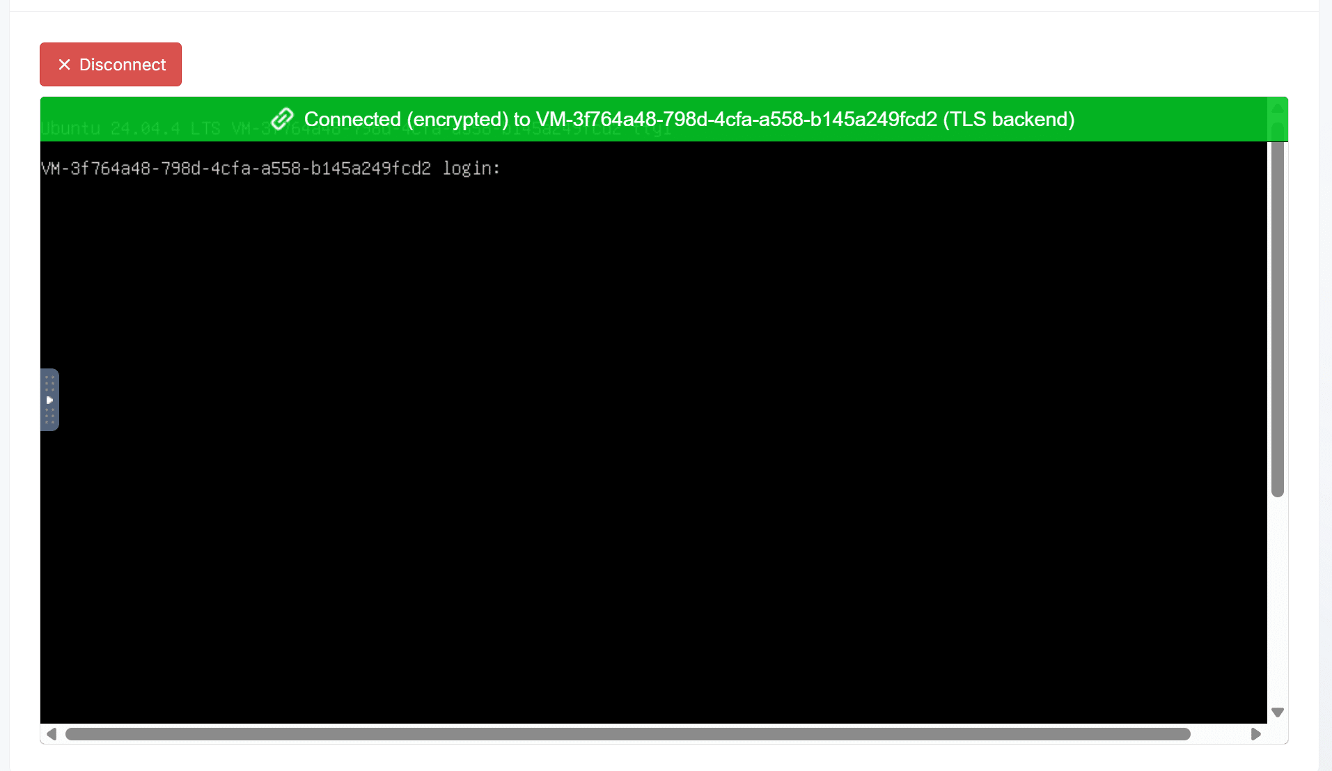 VPS browser-based noVNC console connected to the server