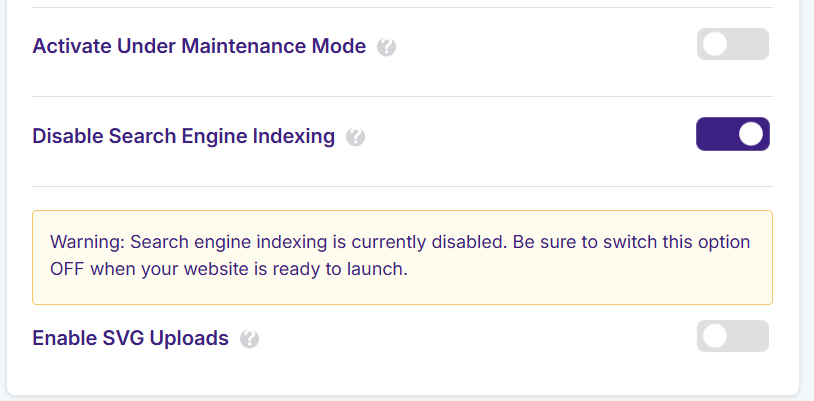 Disable Search Engine Indexing option in JetHost Total Care